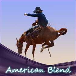 American Blend Tabak Aroma 10ml