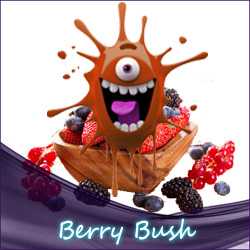 Liquid.de - Berry Bush Aroma leckeres Berry Bush Aroma - Prickelnd fruchtiger Geschmack mit einer leicht süßen Beerennote