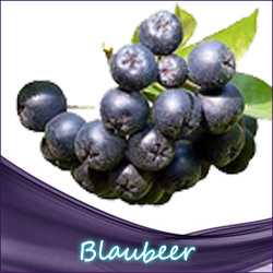 Blaubeer Liquid