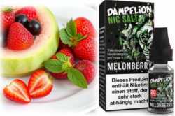 Tropic Mango tropische Mango Dampflion Nikotinsalz Liquid 10ml