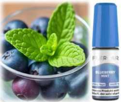 Flerbar Blueberry Mint Nikotinsalz Liquid 10ml