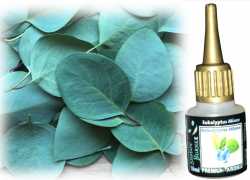 Eukalyptus Minze Aroma Shadow Burner 10ml