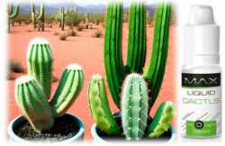 Cactus Kaktus Vape 10ml Liquid