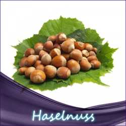 Haselnuss Aroma 10ml