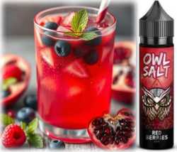 Red Berries Blaubeere Granatapfel Himbeere OWL Longfill Aroma 10-in-60ml Shake Vape Liquid