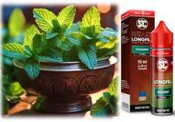 Spearmint Minze süß erfrischend SC Red Line Longfill 10-in-60ml