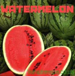 10ml Vampire Vape Watermelon Liquid (Wassermelone)