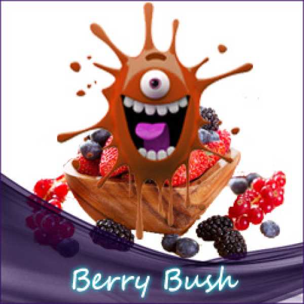 Liquid.de - Berry Bush Aroma leckeres Berry Bush Aroma - Prickelnd fruchtiger Geschmack mit einer leicht süßen Beerennote