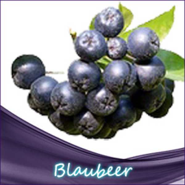 Blaubeer Liquid