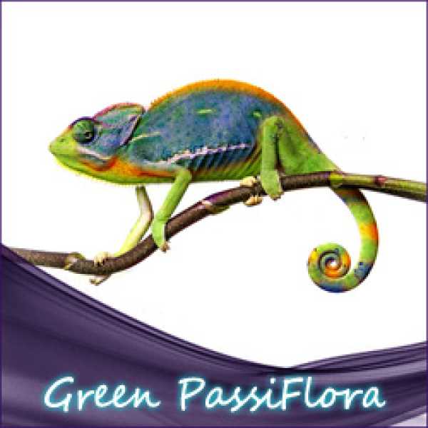 Liquid.de - Green PassiFlora Aroma - fruchtiges Aroma mit leichter Säure