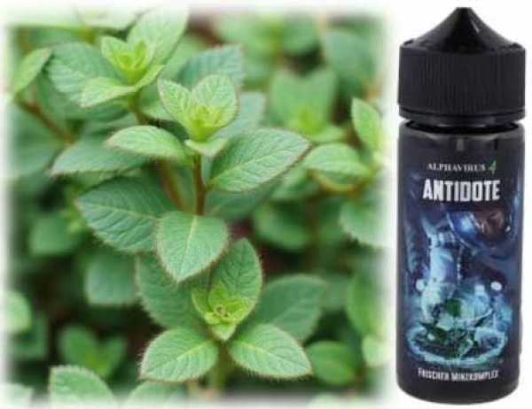 Minze (Das Alphavirus 4 Antidote) Liquid Aroma 5ml in 60ml Flasche