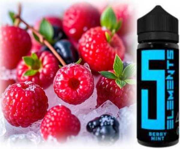 Berry Mint 5 Element Aroma von Vovan 10ml in 120ml Flasche