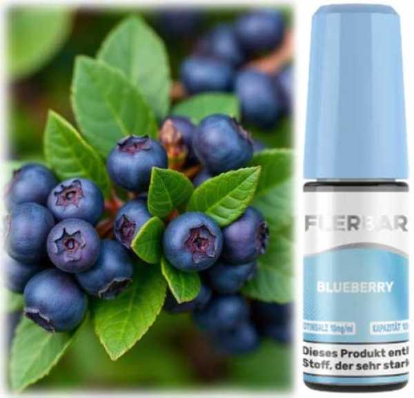 Flerbar Blueberry Nikotinsalz Liquid 10ml