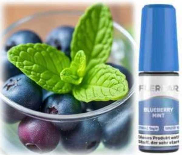 Flerbar Blueberry Mint Nikotinsalz Liquid 10ml