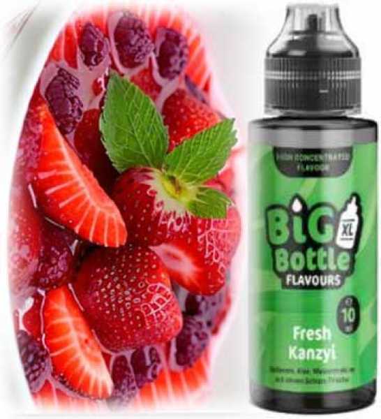 Fresh Kanzyi Big Bottle 10ml Liquid Aroma in 120 ml Flasche Waldbeeren Erdbeeren Limette Apfel Melone Menthol