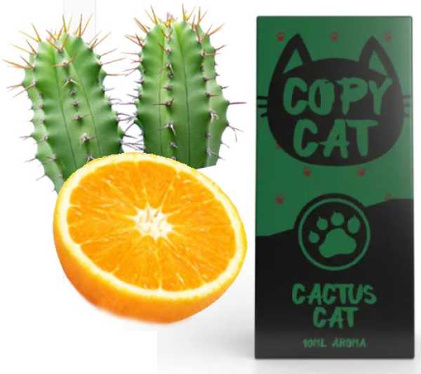 Kaktus Orange Cactus Copy Cat Aroma 10ml