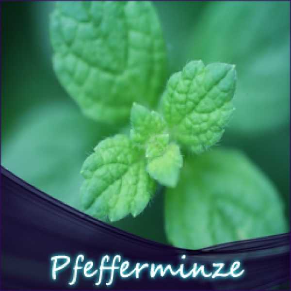Pfefferminz Aroma 10ml