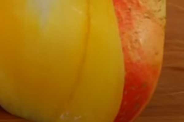Tropic Mango 10ml tropische Mango SC Liquid