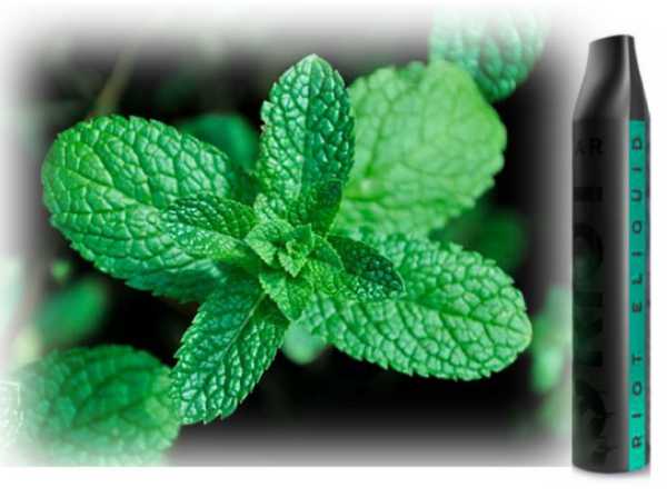 Triple Mint Spearmint Pfefferminze Riot Bar Einweg Zigarette NicSalt 20mg Made in UK