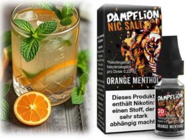 Orange Menthol Orange Ice Dampflion Nikotinsalz Liquid 10ml