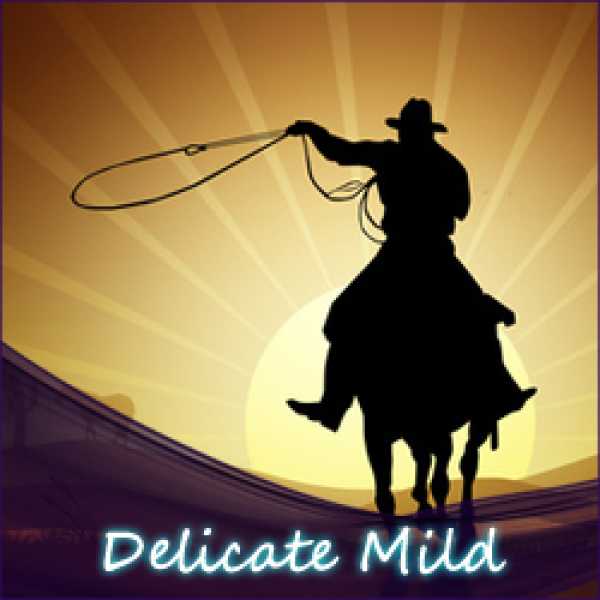 Delicate Mild Tabak SC Liquid