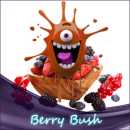 Liquid.de - Berry Bush Aroma leckeres Berry Bush Aroma - Prickelnd fruchtiger Geschmack mit einer leicht süßen Beerennote