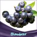 Blaubeer Liquid