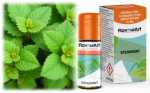 Menthol Natural Flavour Art Aroma 10ml Menthol
