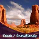 leckeres Tabak / SnowBlendy (USA) Aroma fein, weich, urwüchsig