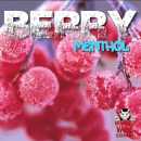 10ml Vampire Vape Berry Menthol Liquid (Beeren Menthol)