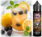 Blackberry Lemon Beerenfrüchte Zitrone Frische OWL Longfill Aroma 10-in-60ml Shake Vape Liquid