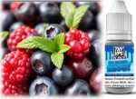 Blaues Zeug Stachelbeere Blaubeere Heidelbeere Brombeere Johannisbeere Frische TNYVPS Nikotinsalz Liquid 10ml 18mg