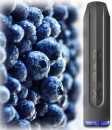 Blueberry Blaubeeren X-Bar 500mAh Einweg NicSalt 650 Züge 20mg