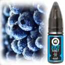 Blue Burst Nikotinsalz Brombeeren Slushy Wassereis Riot Squad Liquid 10ml