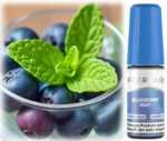 Flerbar Blueberry Mint Nikotinsalz Liquid 10ml