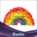 Exotische Früchte SC Liquid 10ml