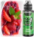 Fresh Kanzyi Big Bottle 10ml Liquid Aroma in 120 ml Flasche Waldbeeren Erdbeeren Limette Apfel Melone Menthol