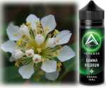Gamma Velorum Waldmeister Brause Antimatter Aroma 10ml in 120ml Flasche