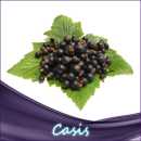 Cassis (Johannisbeere) Liquid