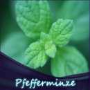 Pfefferminz Liquid 10ml