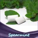 Spearmint Liquid 10ml leicht stärkere Süße