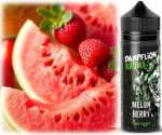 Wassermelone Erdbeeren Liquid Dampflion Melon Berry Aroma 10ml Checkmate Shake & Vape
