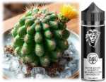 Dampflion Black Lion +  Aroma 10ml / 120ml