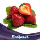 Erdbeere SC Liquid