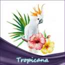 Tropical Thunder Aroma Exotische Früchte 10ml