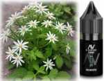 Alphavirus 7 Waldmeister Urban Juice Ultrabio 10ml Aroma 4-6%