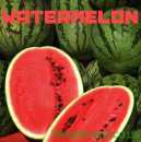 10ml Vampire Vape Watermelon Liquid (Wassermelone)